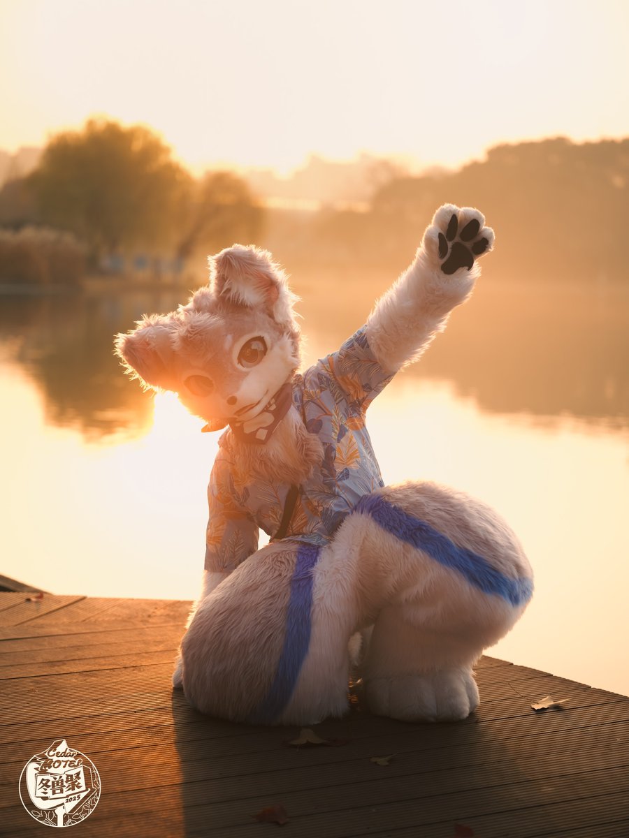 SuperFurryFusion tweet media