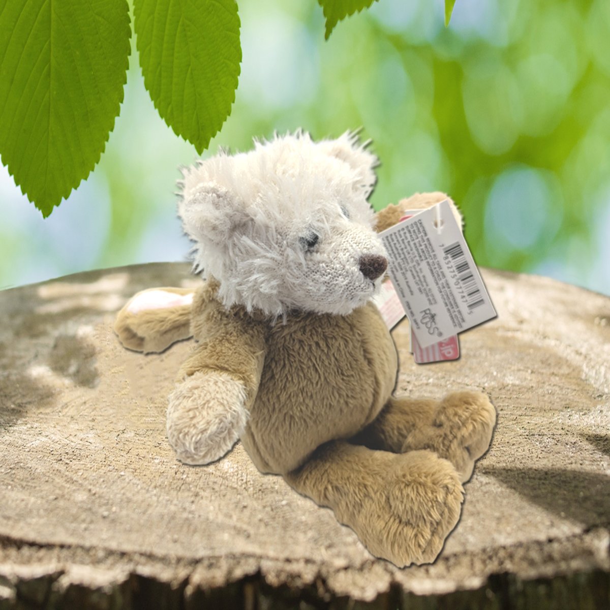 変身！うさ耳フードのクマさん✨ うさぎに変身したクマさんの