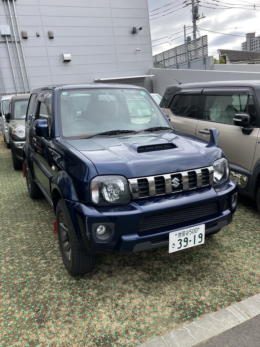 Stray dog (@fkQclQLFt0CiXGm) / Posts / X