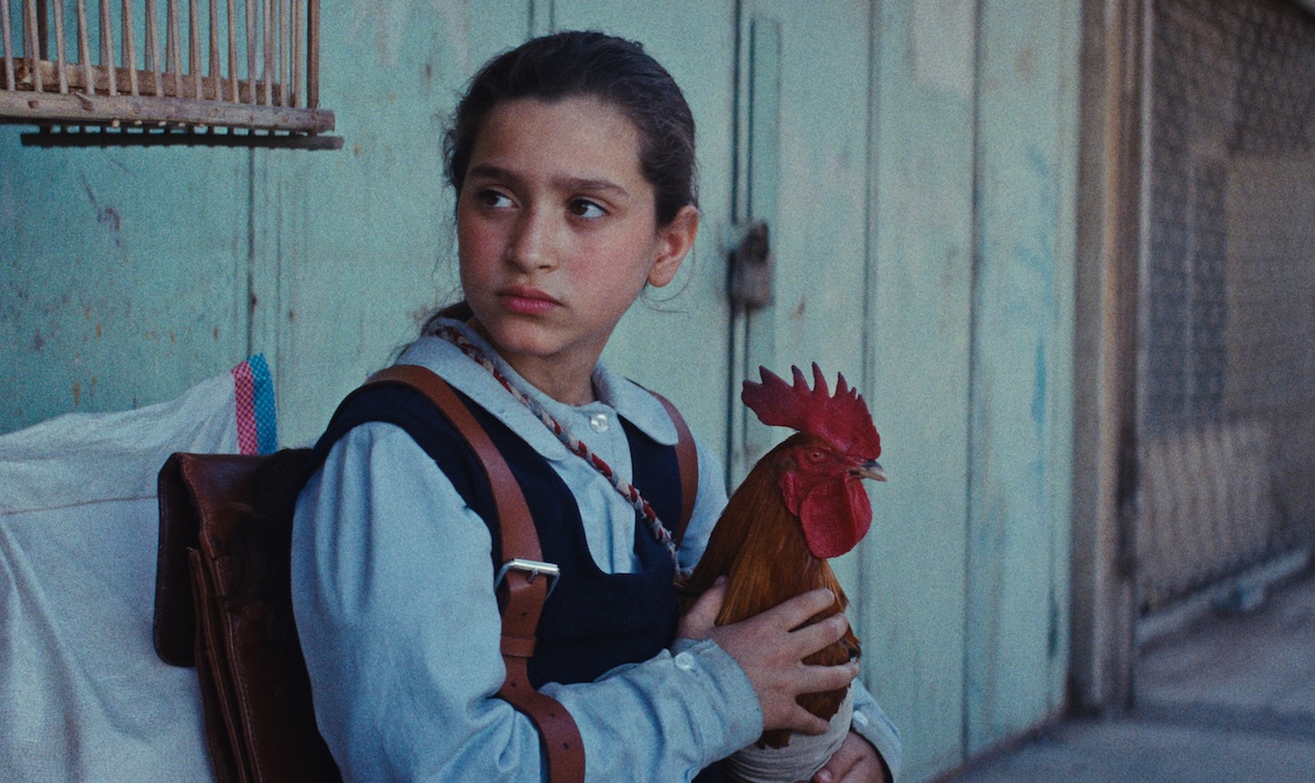 Cinéma Rex Brive tweet media