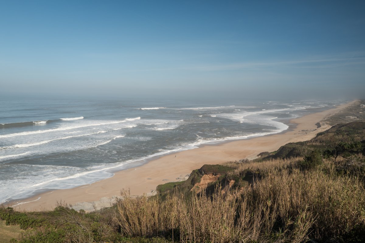 Emmanuel Nataf tweet media