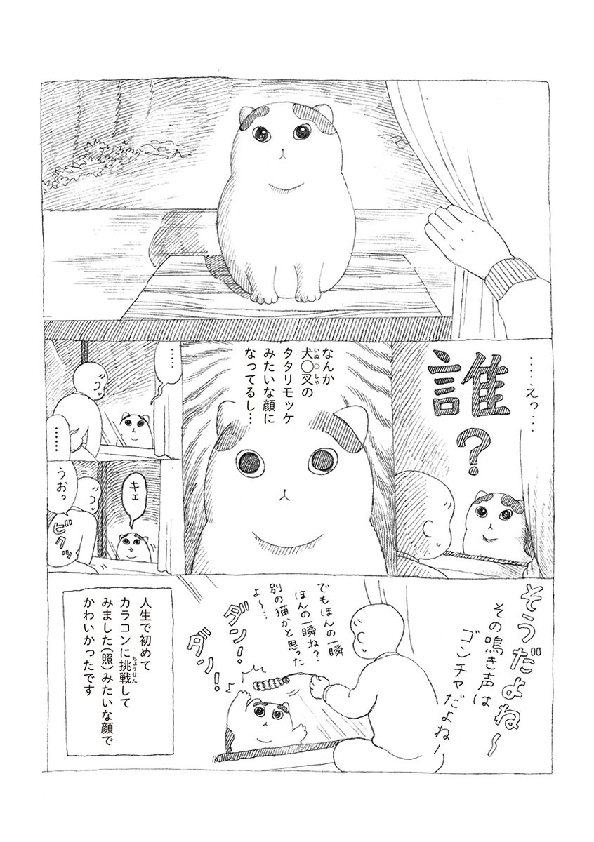 無愛想だけど人懐っこい野良猫ごんたがゆっくりと家族になっていく話 (1/4) 
