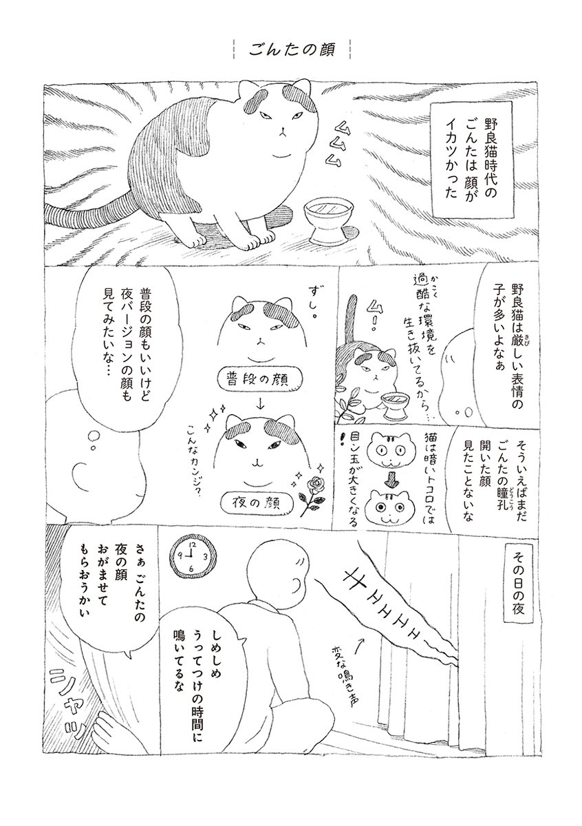 無愛想だけど人懐っこい野良猫ごんたがゆっくりと家族になっていく話 (1/4) 