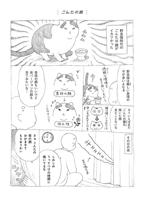 無愛想だけど人懐っこい野良猫ごんたがゆっくりと家族になっていく話 (1/4) 