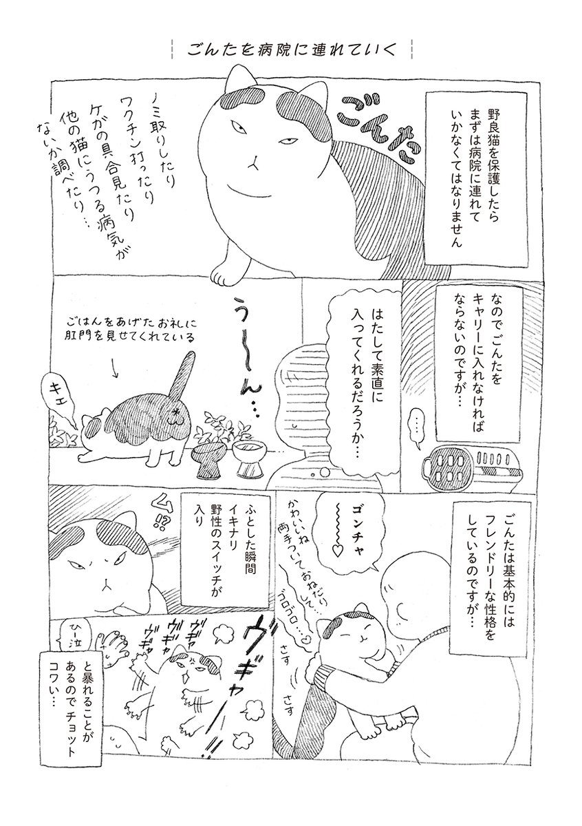 無愛想だけど人懐っこい野良猫ごんたがゆっくりと家族になっていく話 (2/4) 