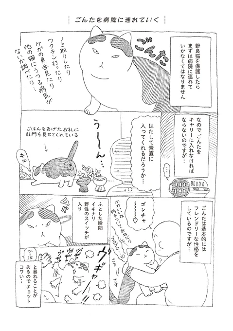 無愛想だけど人懐っこい野良猫ごんたがゆっくりと家族になっていく話 (2/4) 