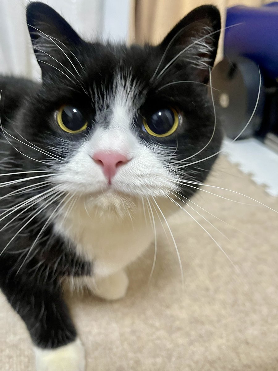 たろう (@taro20216) / Posts / X