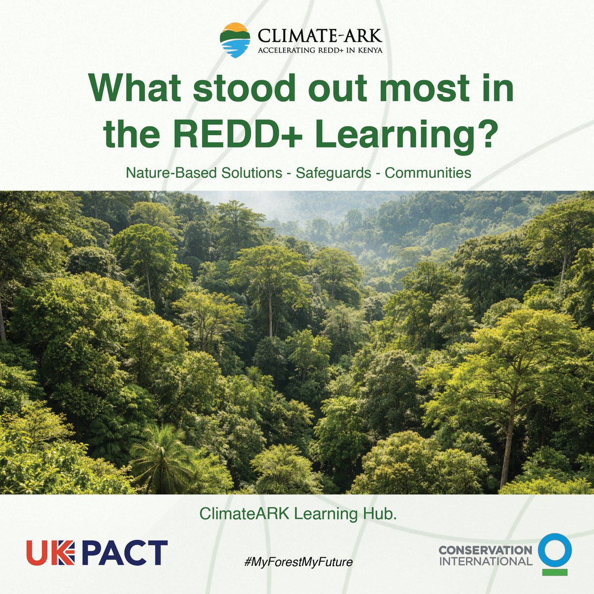 Climate Ark tweet media