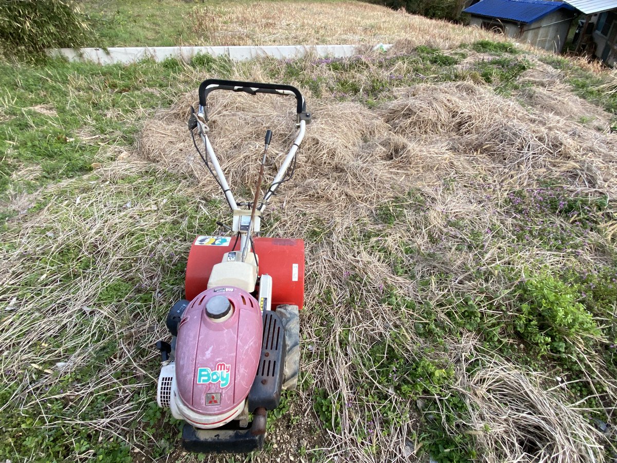 今年は何育てっかな〜と思案中