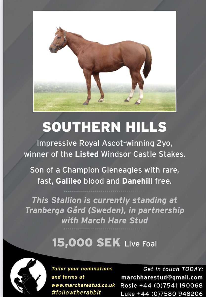 March Hare Stud tweet media