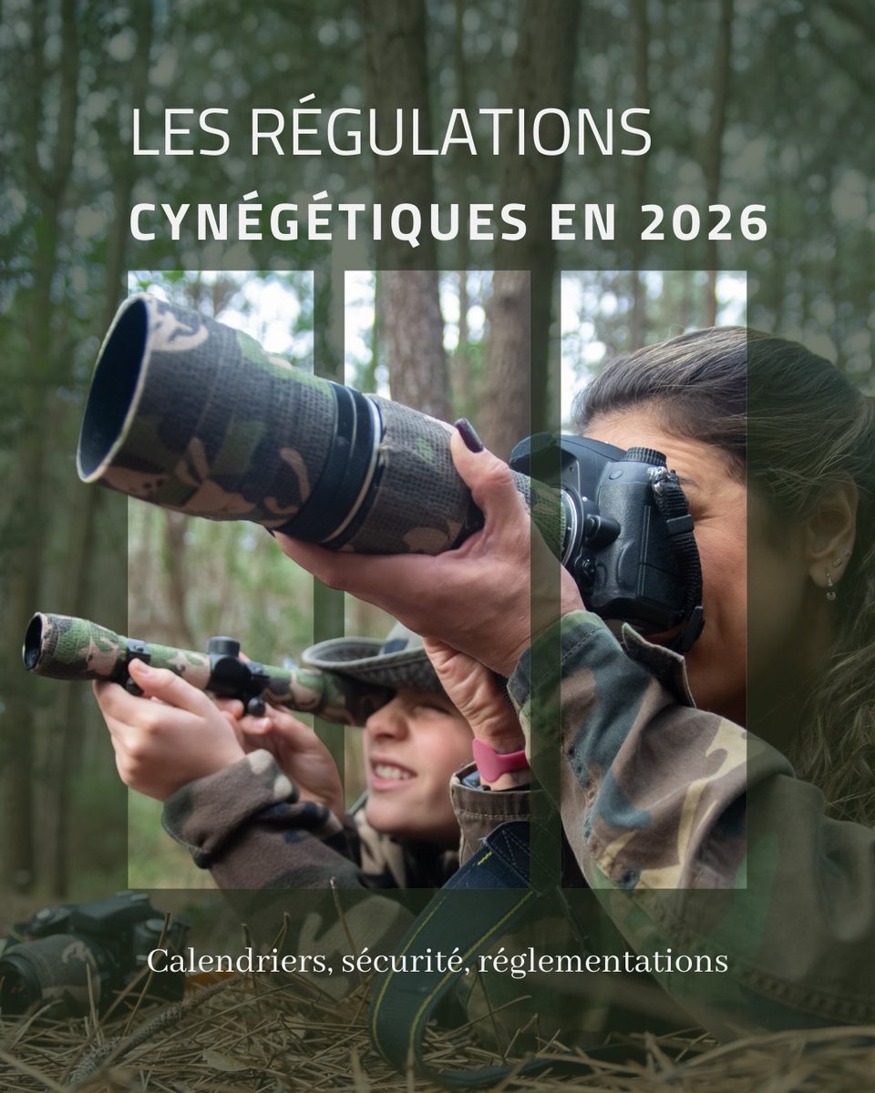 protect_chasse's tweet photo. Quotas, sécurité, périodes de chasse, gestion des populations…
Les régulations cynégétiques évoluent en 2026.
Découvrez les points essentiels pour pratiquer en toute conformité dans notre nouvel article.
👉 https://t.co/XRrHYXPjAu https://t.co/2mhRbWBtZH
