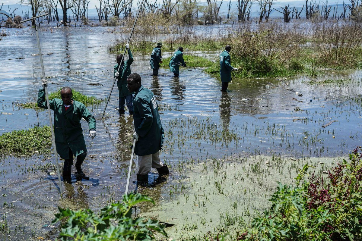 James Wakibia #PlasticTreatyNow tweet media