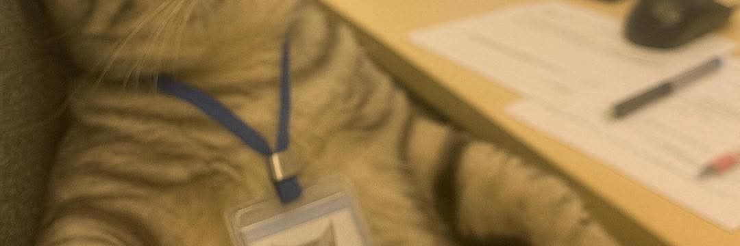 ᴬᴺᴳᴱᴸ ❃ tweet media