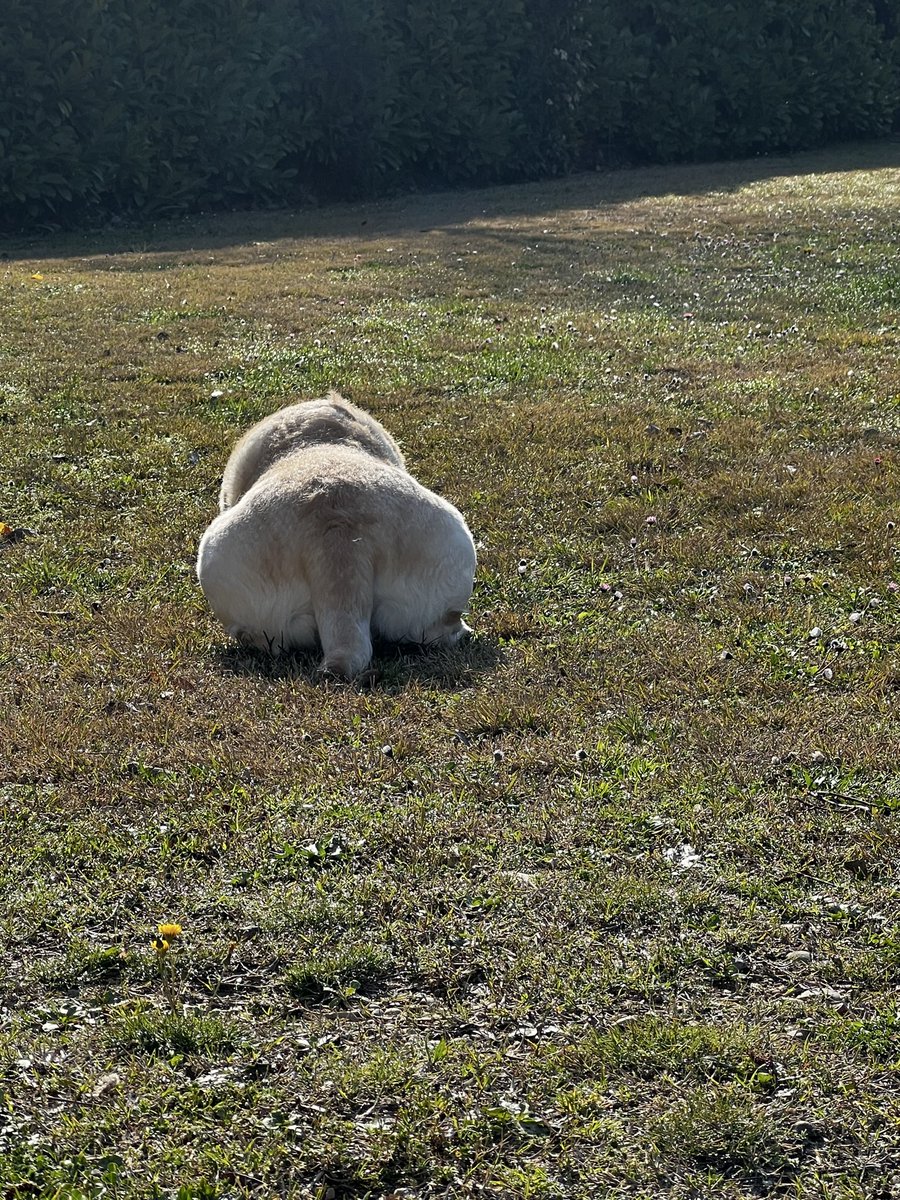 tu ressemble as une bite dans cette position Owen