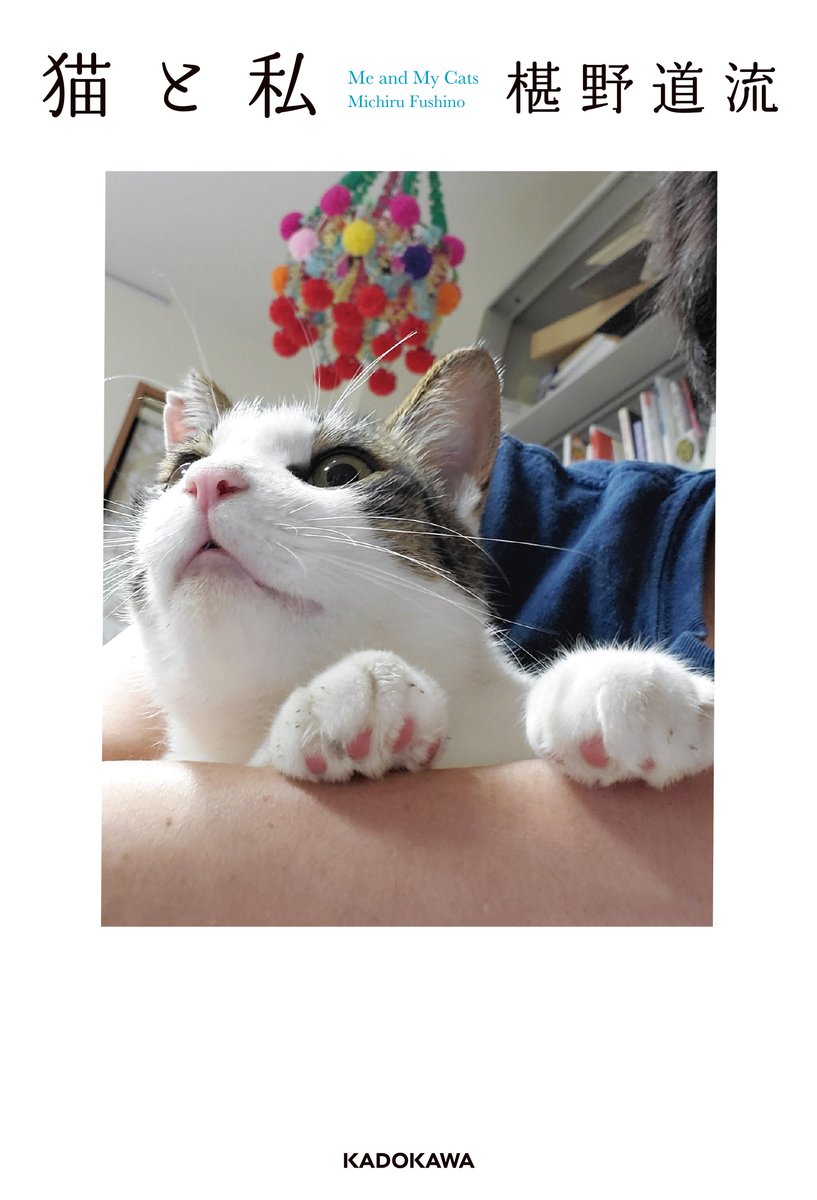kadokawa_c_bun's tweet photo. ＼🐱速報🐱／
「NHKEテレ　ネコメンタリー　猫も、杓子も。
椹野道流ととびちゃんと甘利と福本と波多野と実井とちびすけ」
3月5日（木）午後10時30分放送予定です。
ぜひご覧ください！
（公式サイト）
https://t.co/CTmC9NgoPF

椹野道流さんと猫ファミリーとの出会いと
家族になるまでを描いたエッセイ単行本
『#猫と私』は3月26日（木）発売予定！
こちらもお楽しみに！
（書誌情報）🐈🐈
https://t.co/SpnRCD9Akm