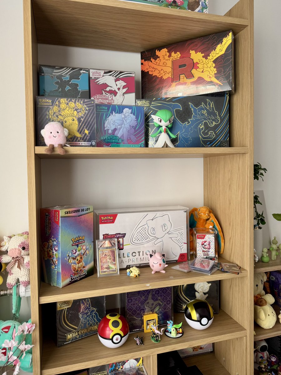 _spicyhoney's tweet image. je n’ai toujours pas branché ma plaque de cuisson mais au moins j’ai mon super coin pokémon !!!!