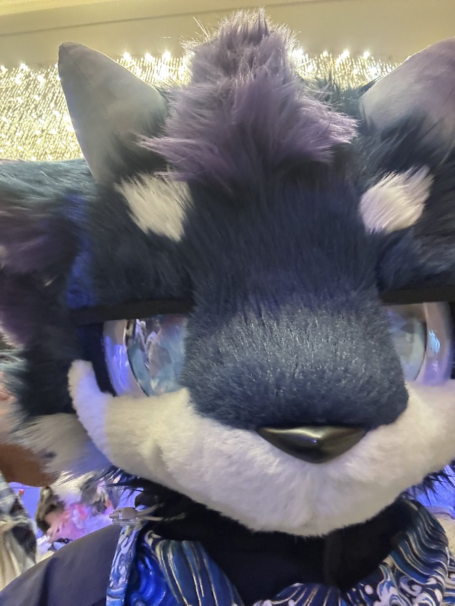 星海StO tweet media