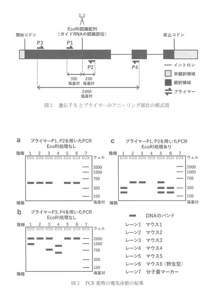 オーキド博士, Ph.D. tweet media