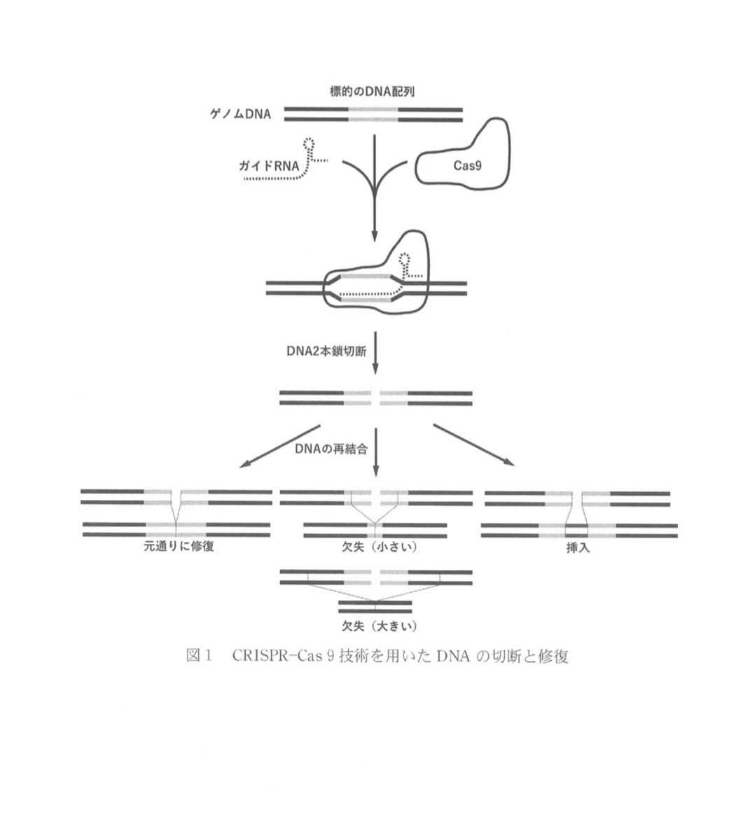 オーキド博士, Ph.D. tweet media
