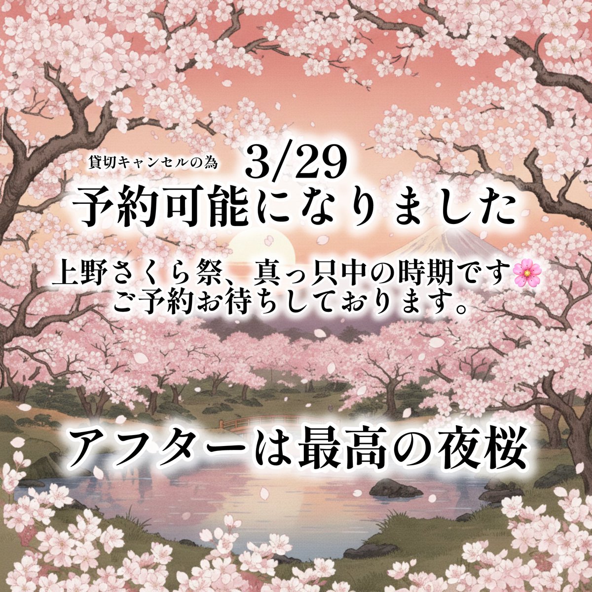 桜満開🌸例年3月第二週〜四週が見ごろ。全国屈指の桜名所、上野をご