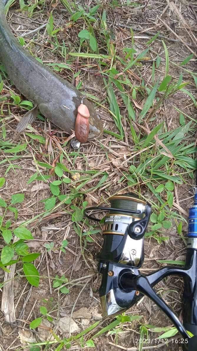 Ngabuburit mancing pake umpan titit gacor banget coy.