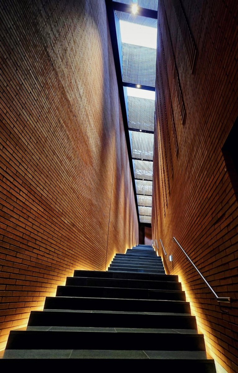 행복한 봄 tweet media