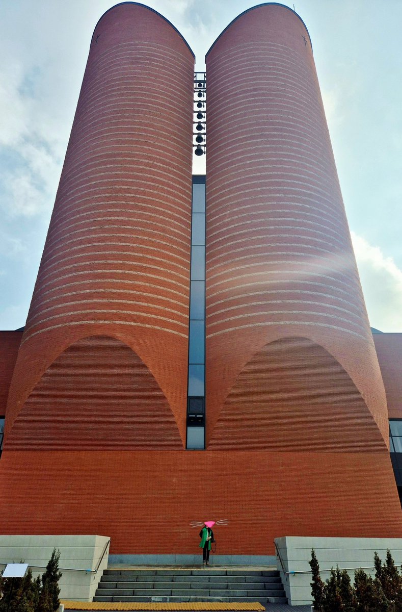 행복한 봄 tweet media