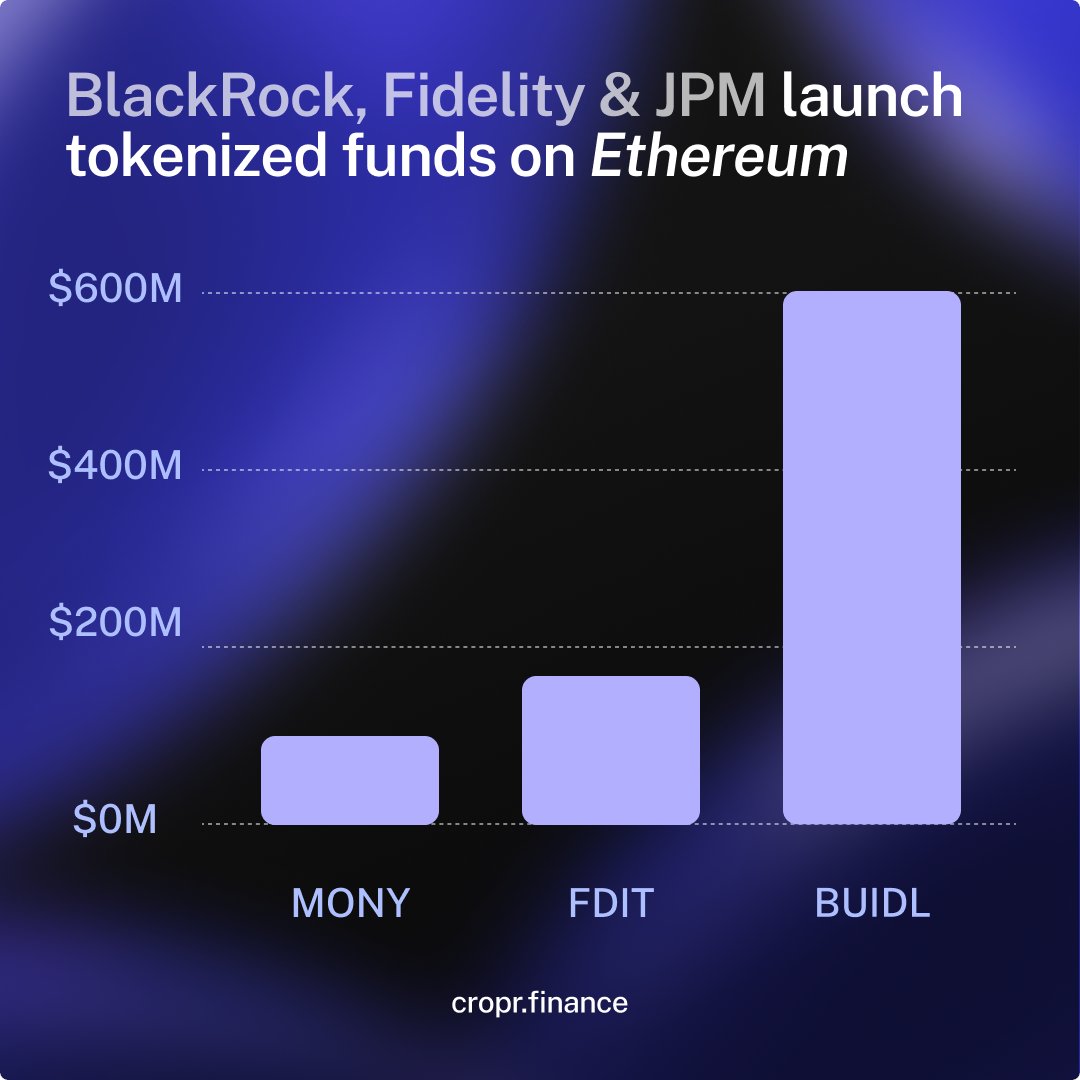 To play the institutional game, you need institutional-grade visibility of your capital