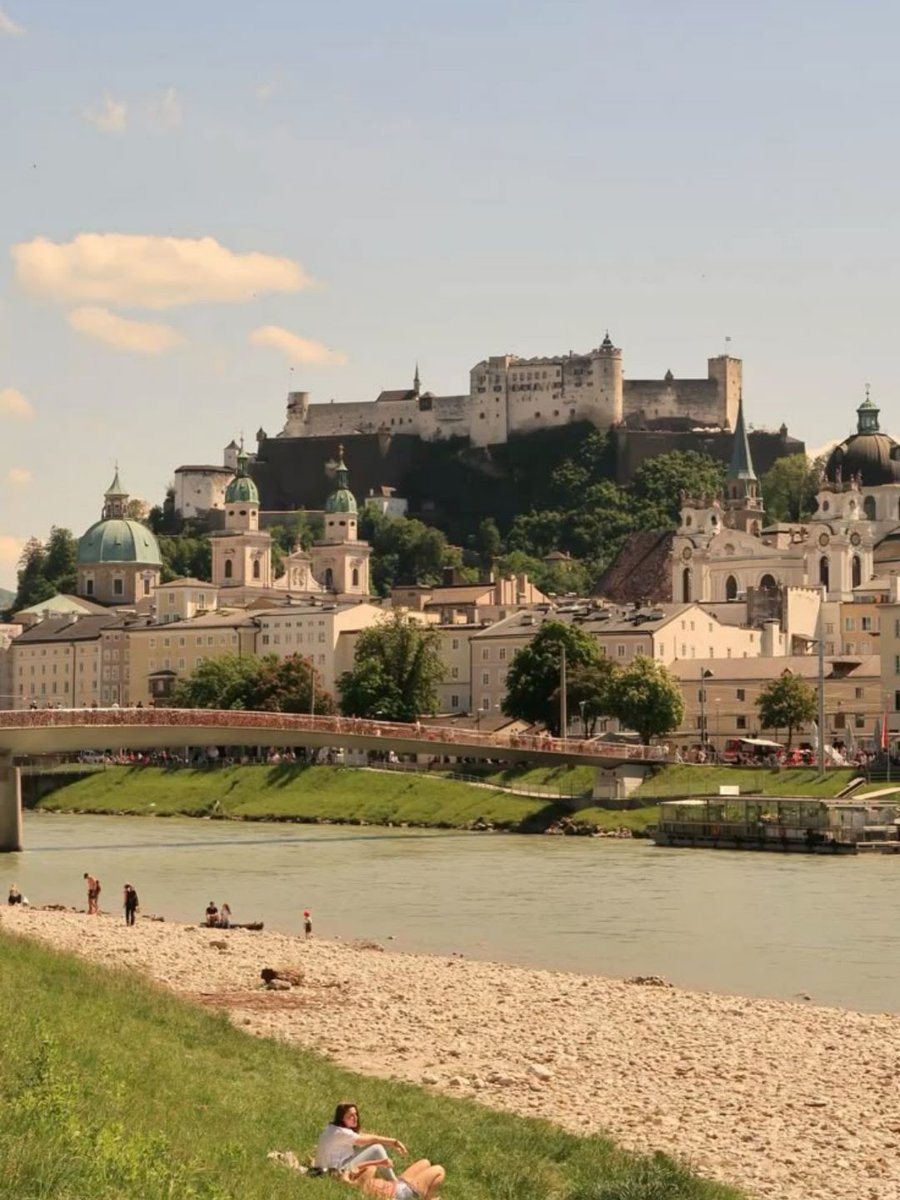 MozartCultures tweet media