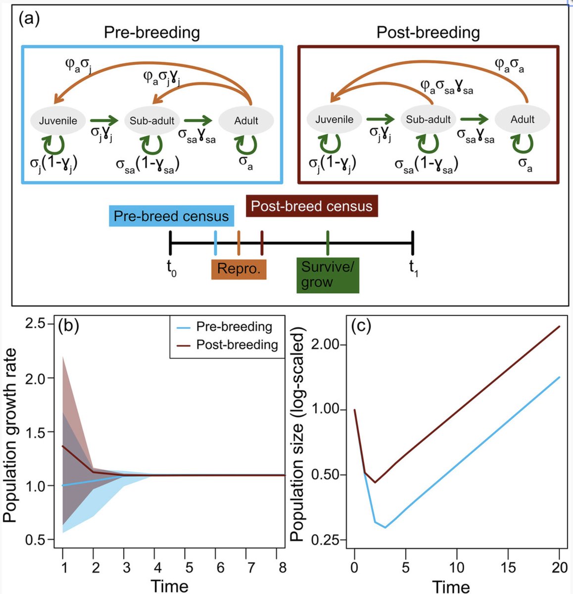 Population Ecology tweet media
