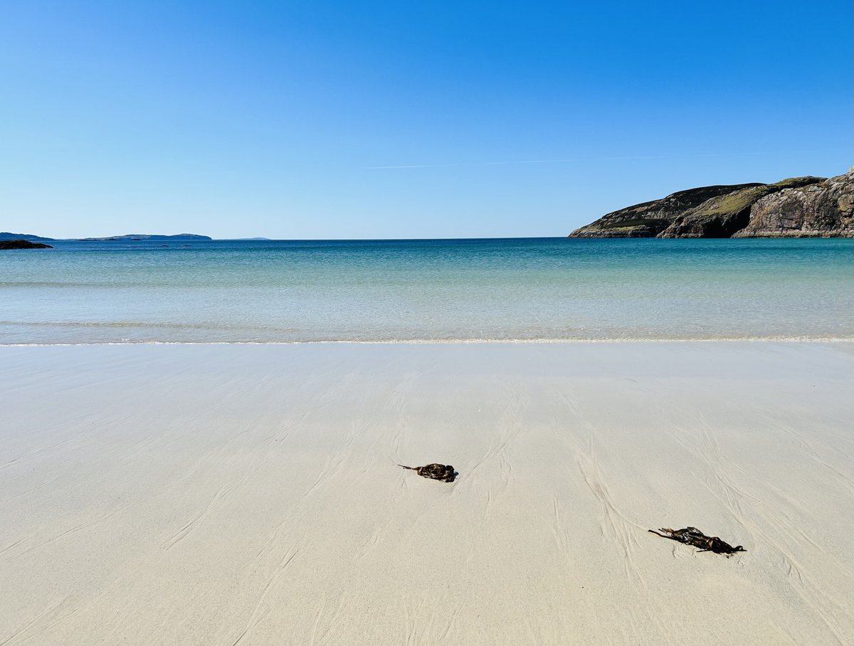 Scottish Beach Project tweet media