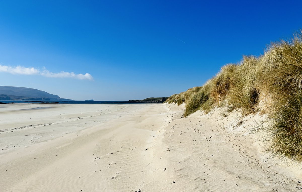 Scottish Beach Project tweet media