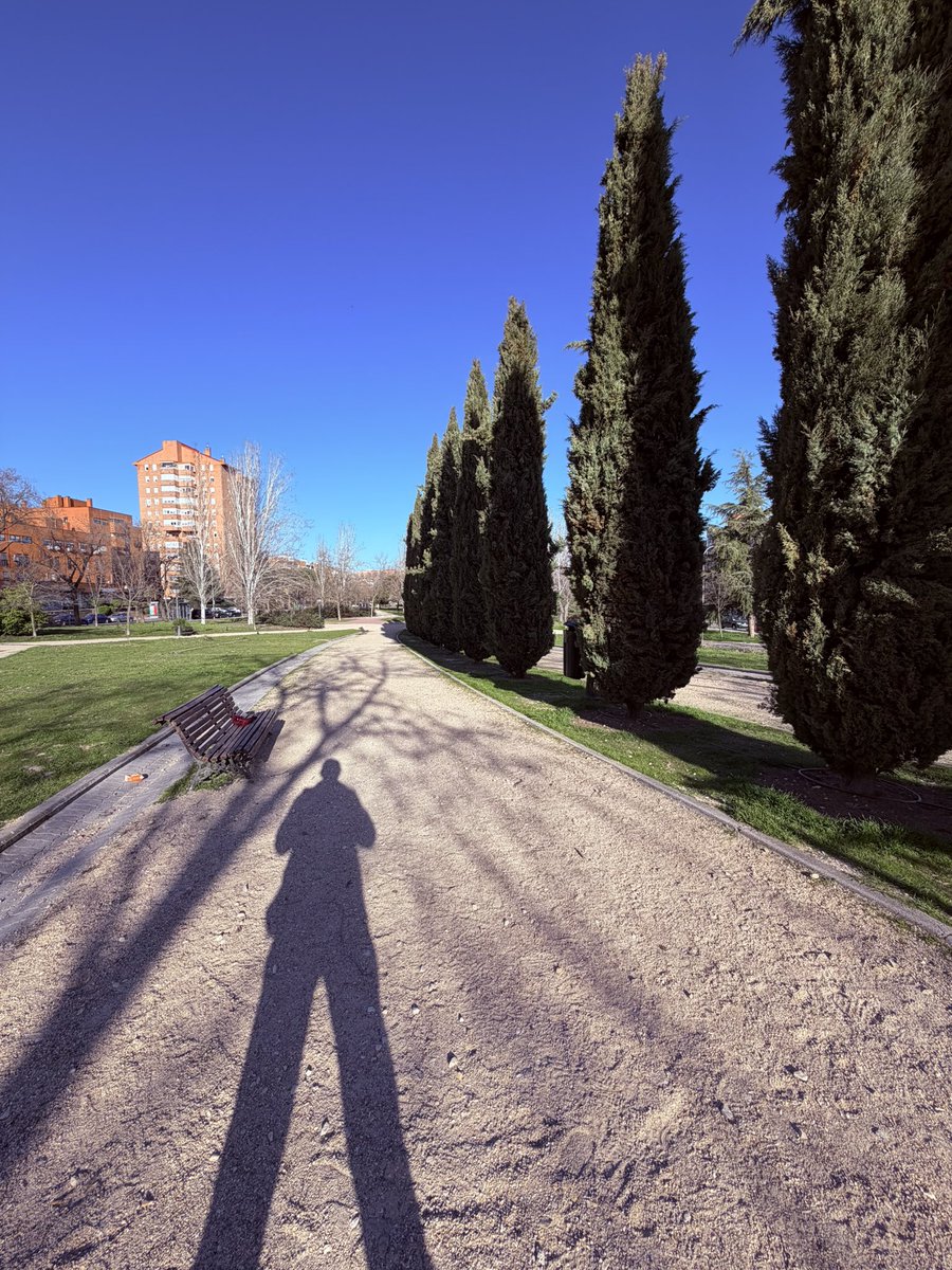 RichardKosmala's tweet image. Barca has its beaches but Madrid has its parks! Imagine getting this weather in February most of the time!!? They dunno how lucky they are! #sun #walk #parklife #madrid 🚶☀️🇪🇸