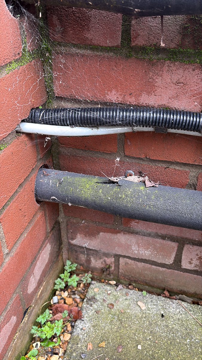 Norwich Electrician tweet media