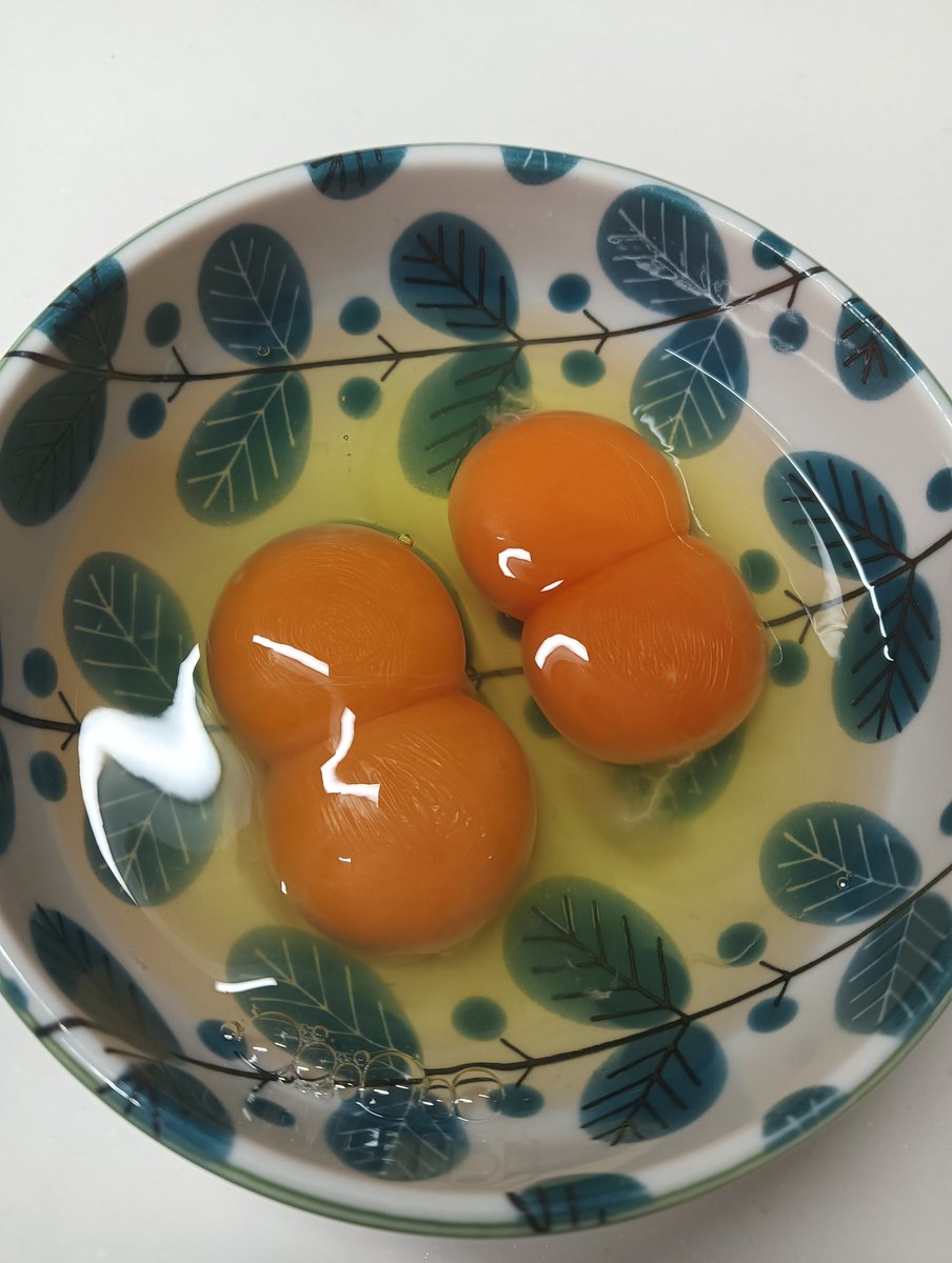 916Funny's tweet photo. 2個連続双子でた♡🐣♡ https://t.co/1Ys23898kX