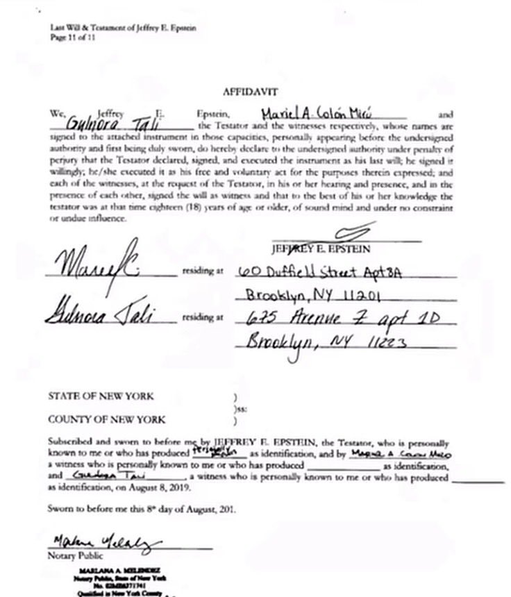 Florinda Ambrogio tweet media