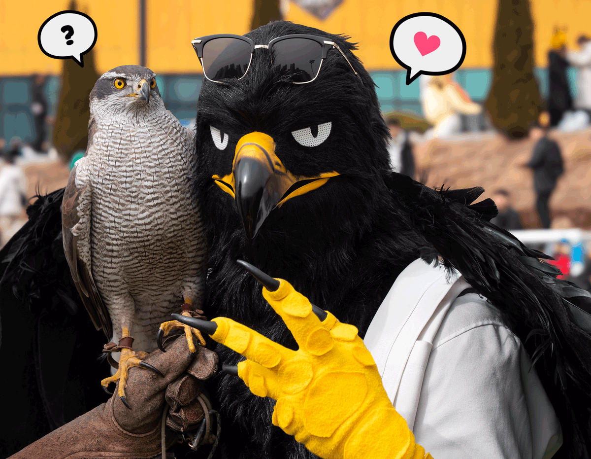 TAN🦅🔜Furst Class tweet media