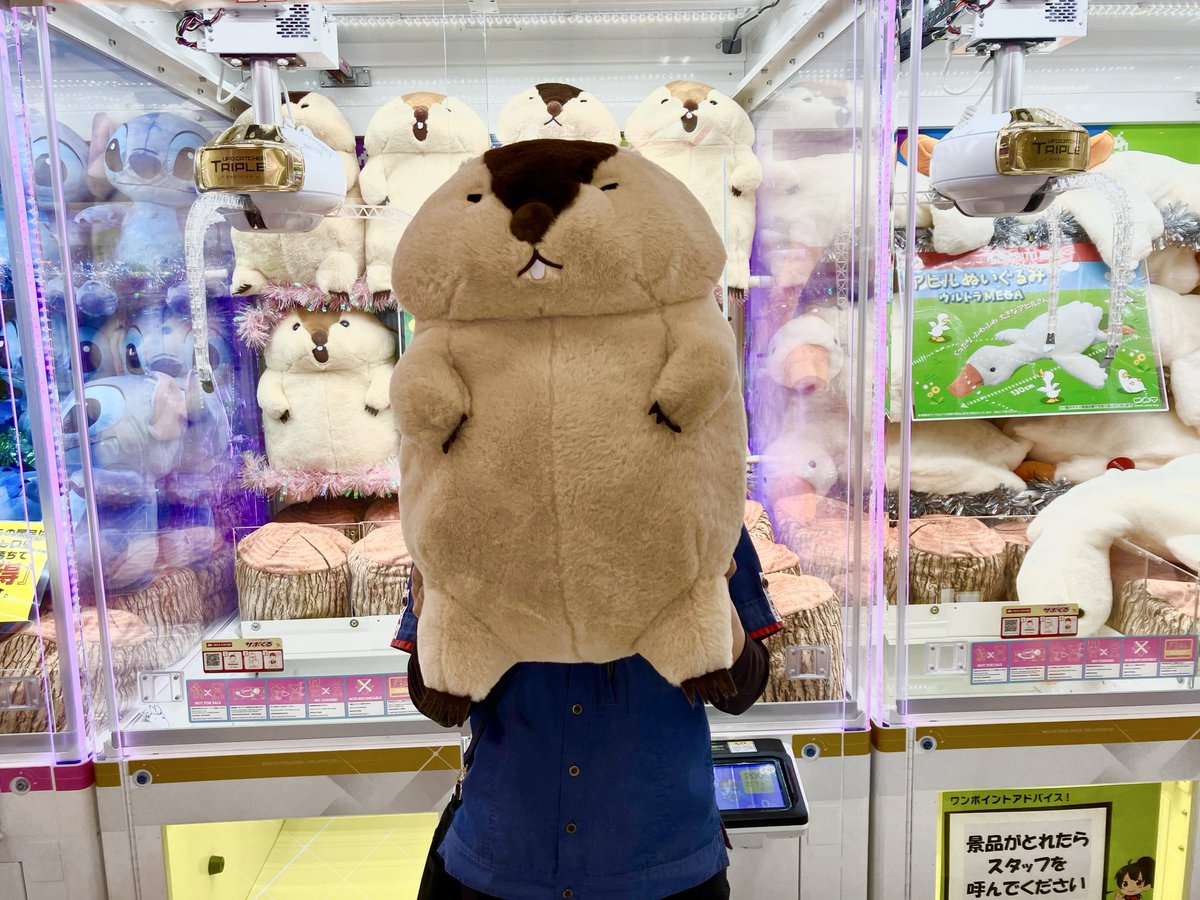 クレーン】タイトー限定❗️『マーモットのもっとっと超超ウルトラBIG