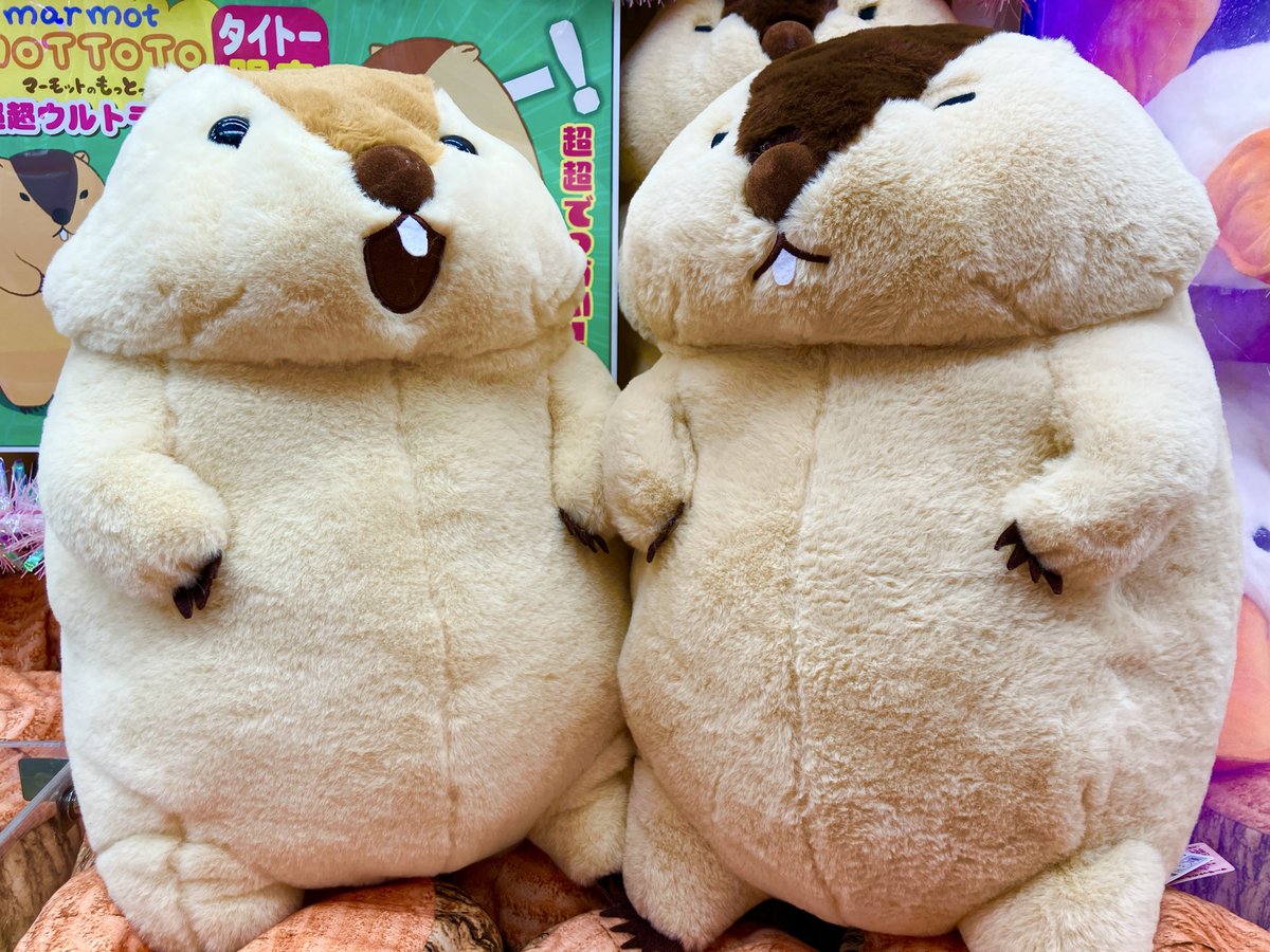 マーモットのもっとっと 超超ウルトラBIG ぬいぐるみ　タイトー限定　2種セット タイトー限定】マーモットのもっとっと 超超ウルトラBIG 全2種セット