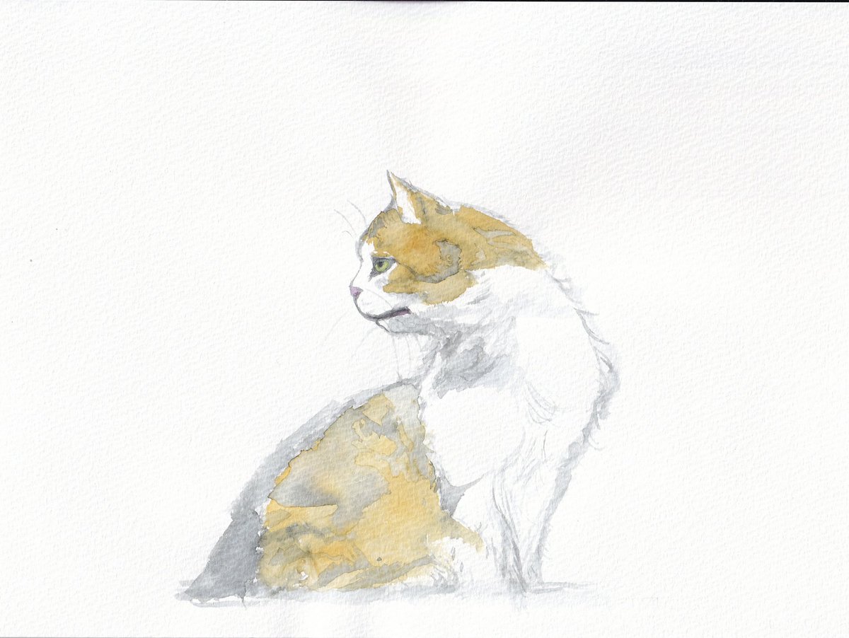 おかあしゃんの肩にのぼり 外の世界を見るロシアンブルーみっくん