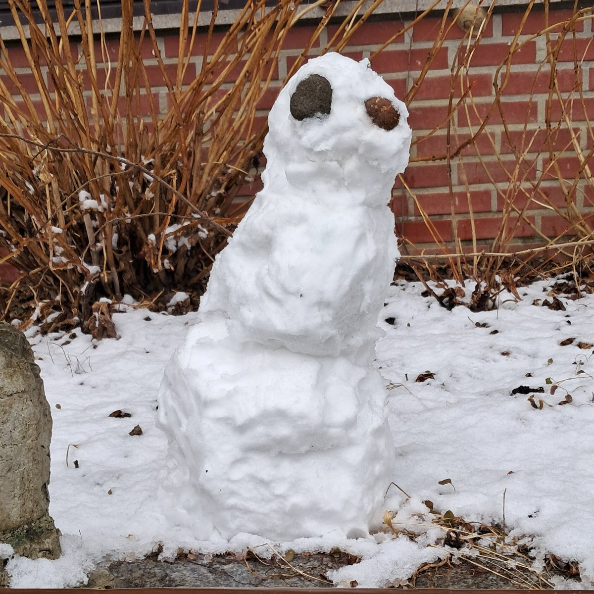 Made a snowman❗❗❗❗🥶🥶🥶