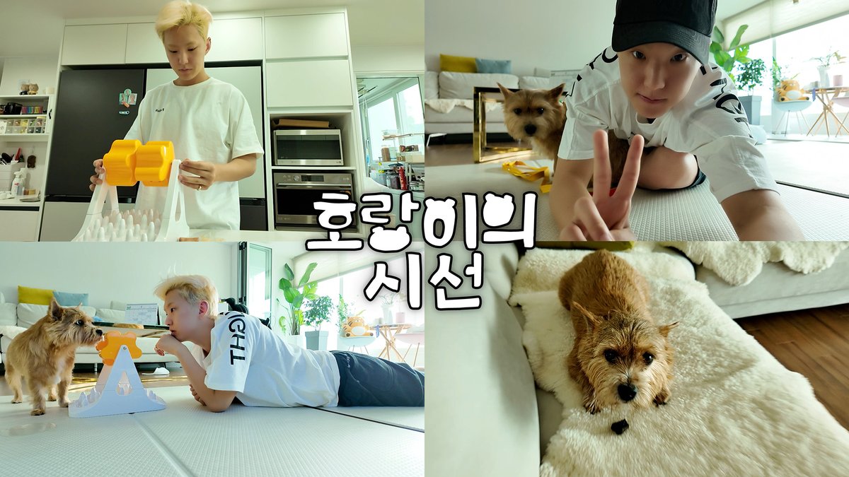 [HOSHI TAMTAM] 무더운 여름 속 뒹굴뒹굴 일상🏠 | 막냇동생 라떼와 집 지키기🐶 | 호랑이의 시선

▶️ youtu.be/YZqDV8YR2as

#HOSHI #호시
#SEVENTEEN #세븐틴
#HOSHI_TAMTAM