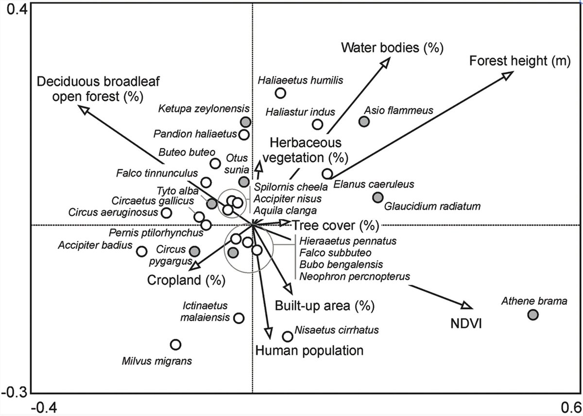 Population Ecology tweet media