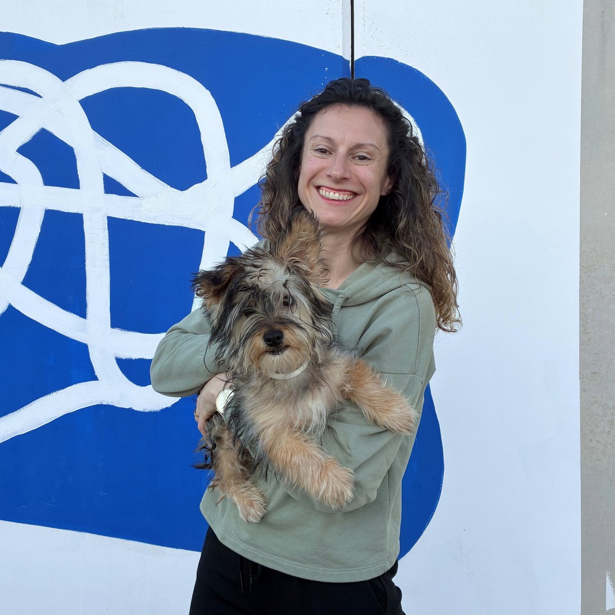 El Refugi dels Peluts tweet media