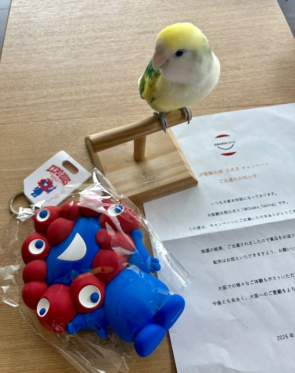 当選しました‼️🙌 ミャク様が今日届きました🔵🔴 宝物が増えました