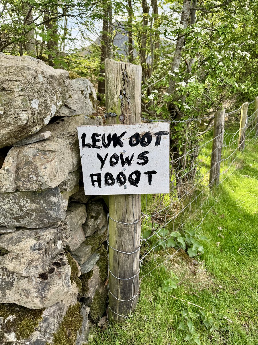 adamwrites_'s tweet photo. A couple of DIY signs from last spring in the Buttermere Valley… 

#LakeDistrict #Buttermere https://t.co/1f93pkbf8y