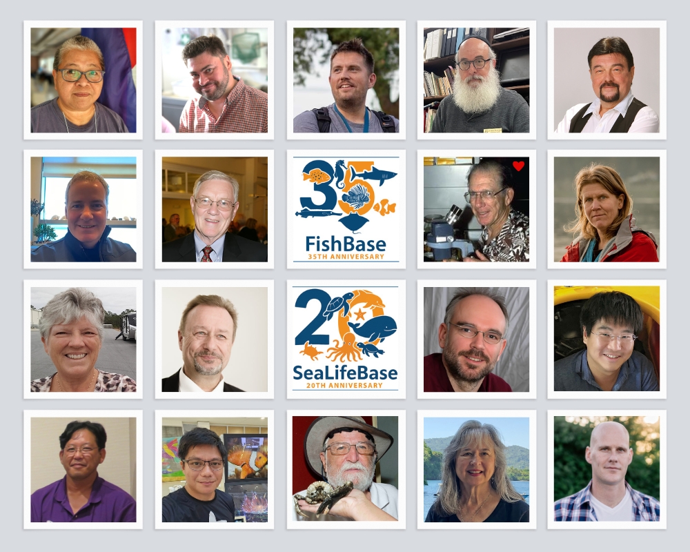 FishBaseProject's tweet photo. In 2025, we celebrated 35 years of #FishBase & 20 years of #SeaLifeBase, featuring collaborators who helped shape these global biodiversity databases. 🔗 https://t.co/bRbOG34OoC
From #taxonomy to deep-sea research, their contributions strengthened science & ocean stewardship. 🌊 https://t.co/Kyp2XGsnlo