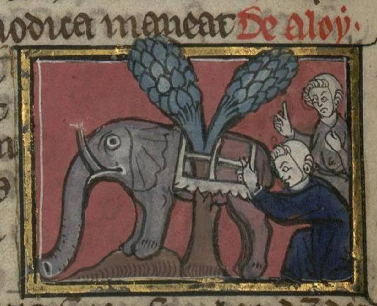 Today I feel like this medieval слон с окном и что это вообще блять