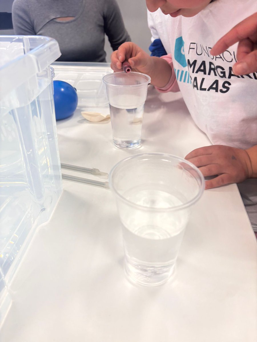 IGME1849's tweet photo. La ciencia como lenguaje universal 🌍
🌍Participamos en #PuentesDeCiencia, programa de divulgación inclusiva en el @IACT_CSIC https://t.co/KMCAP2CdaZ