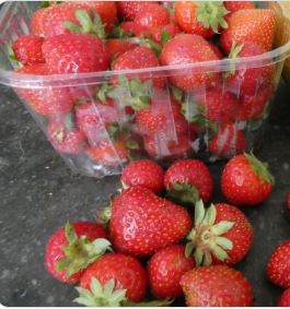 dvanduuren1's tweet photo. Color in Nature Photo Challenge
from: @ChrRoland
Today's Choice:
- Strawberry Red -
(I am Pretty Sure
I 'Nailed it' ! ;))
#KleurInDeNatuur #Aardbeirood #Strawberryred #photochallenge #fun #dag26 #inspirational #ColorInNature #NaturePhotography #day26 https://t.co/t8jKSNxx0b